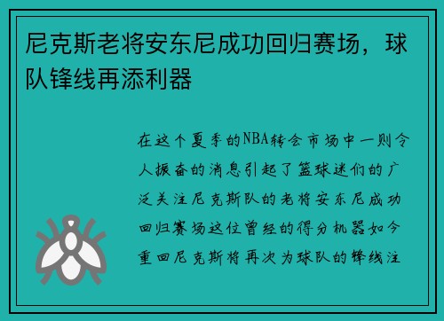 尼克斯老将安东尼成功回归赛场，球队锋线再添利器