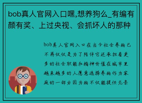 bob真人官网入口嘿,想养狗么_有编有颜有奖、上过央视、会抓坏人的那种……